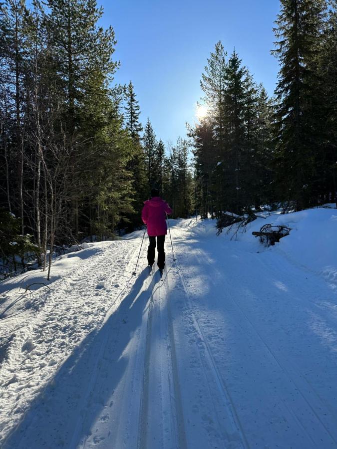 Mysigt Och Annex Med Eget Sjöläge! Torsby
